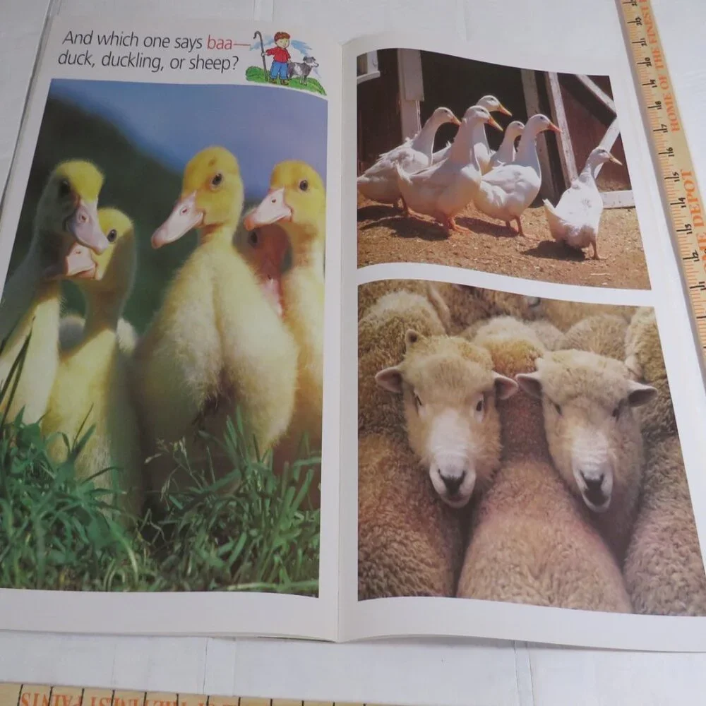 Sounds of the Farm BIG BOOK (almost 2 feet tall) with teacher pages Classroom